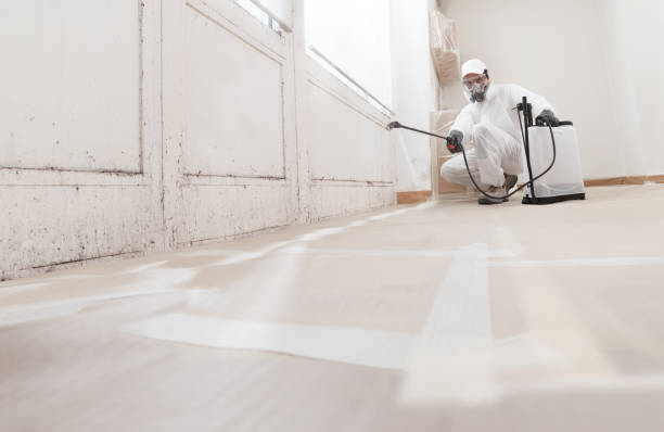 24/7 Emergency Mold Testing experts in Jacksonville, OR
