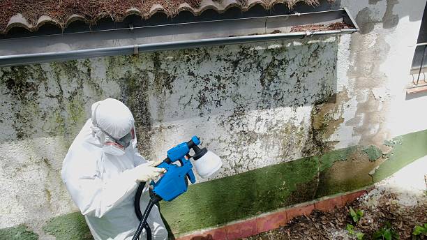 Top rated local Mold Cleanup specialists in Jacksonville, OR